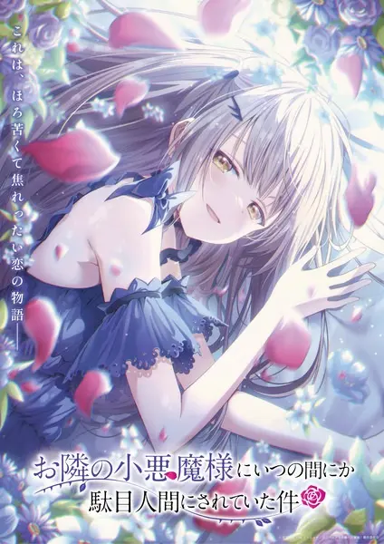 Ангел по соседству 2 (2 сезон)